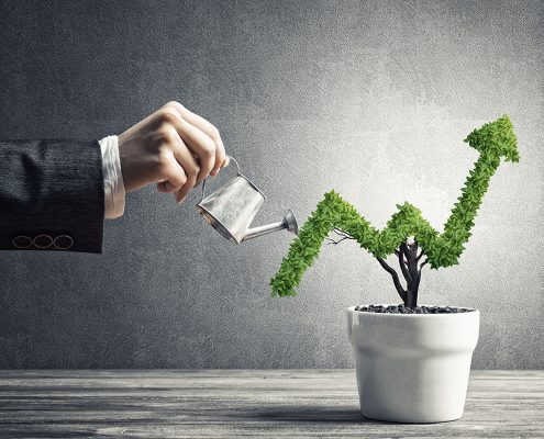 business-growth